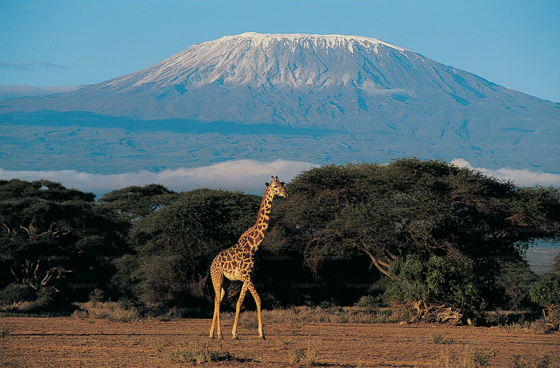 Mount Kilimanjaro, Africa's highest peak