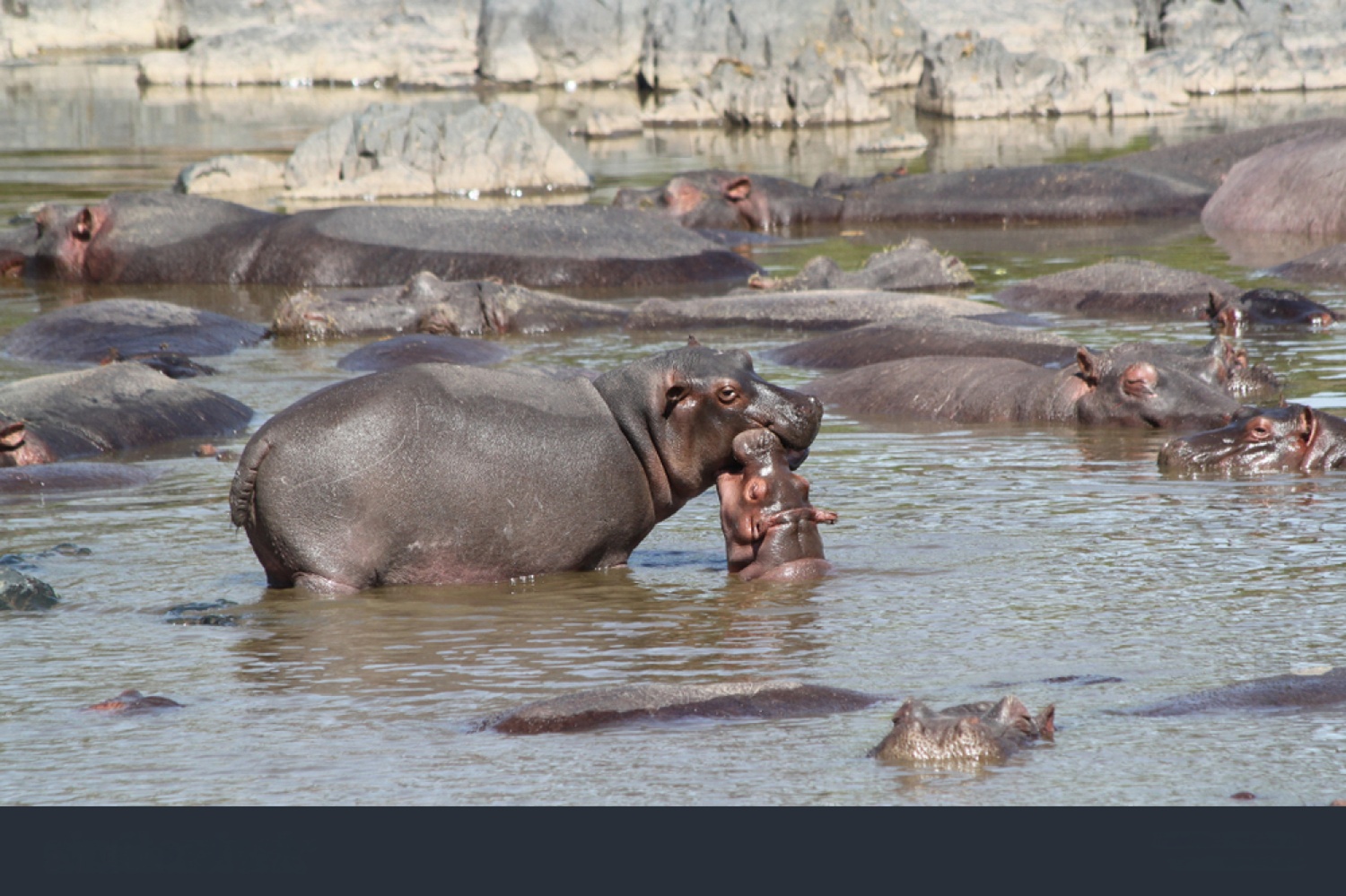 Arusha, Ngorongoro & Central Serengeti