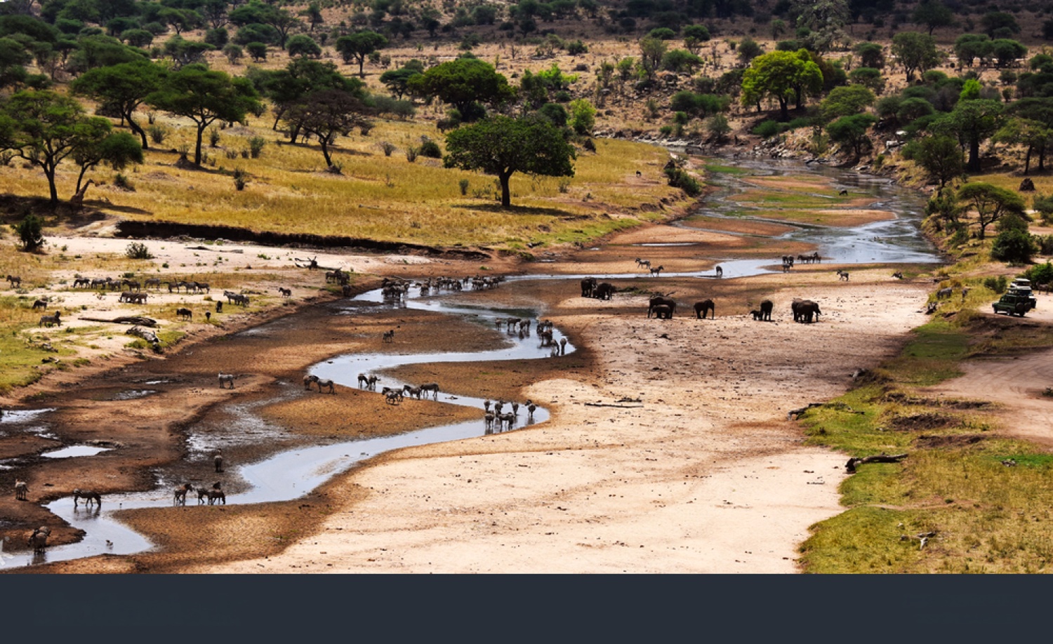 Elephants in Tarangire during the dry season
