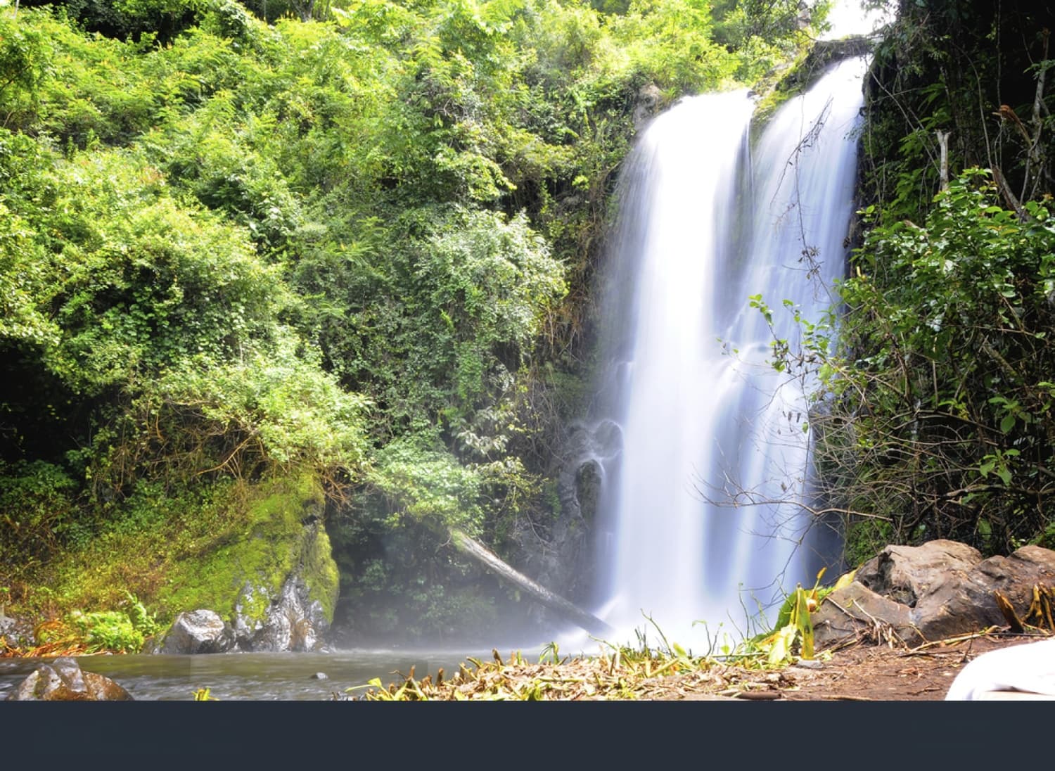 Marangu Waterfall Hike